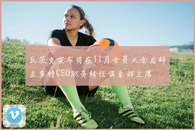 瓦茨克宣布将在11月会员大会后辞去多特CEO职务转任俱乐部主席