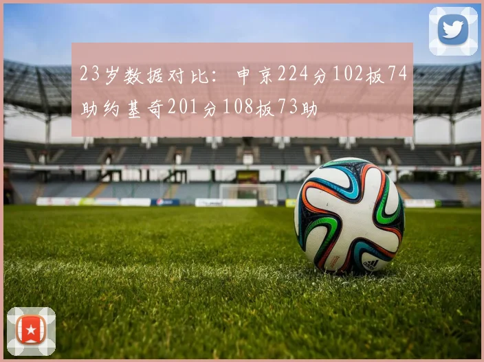 23岁数据对比：申京224分102板74助约基奇201分108板73助
