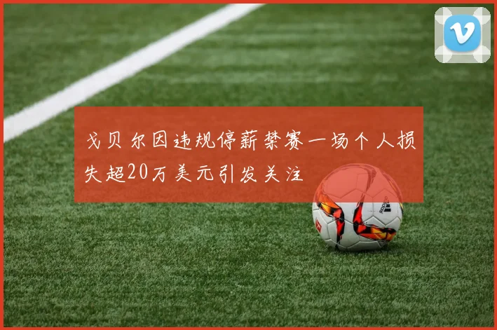 戈贝尔因违规停薪禁赛一场个人损失超20万美元引发关注